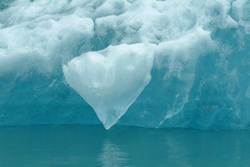 ocean ice betty sederquist ice-800x535